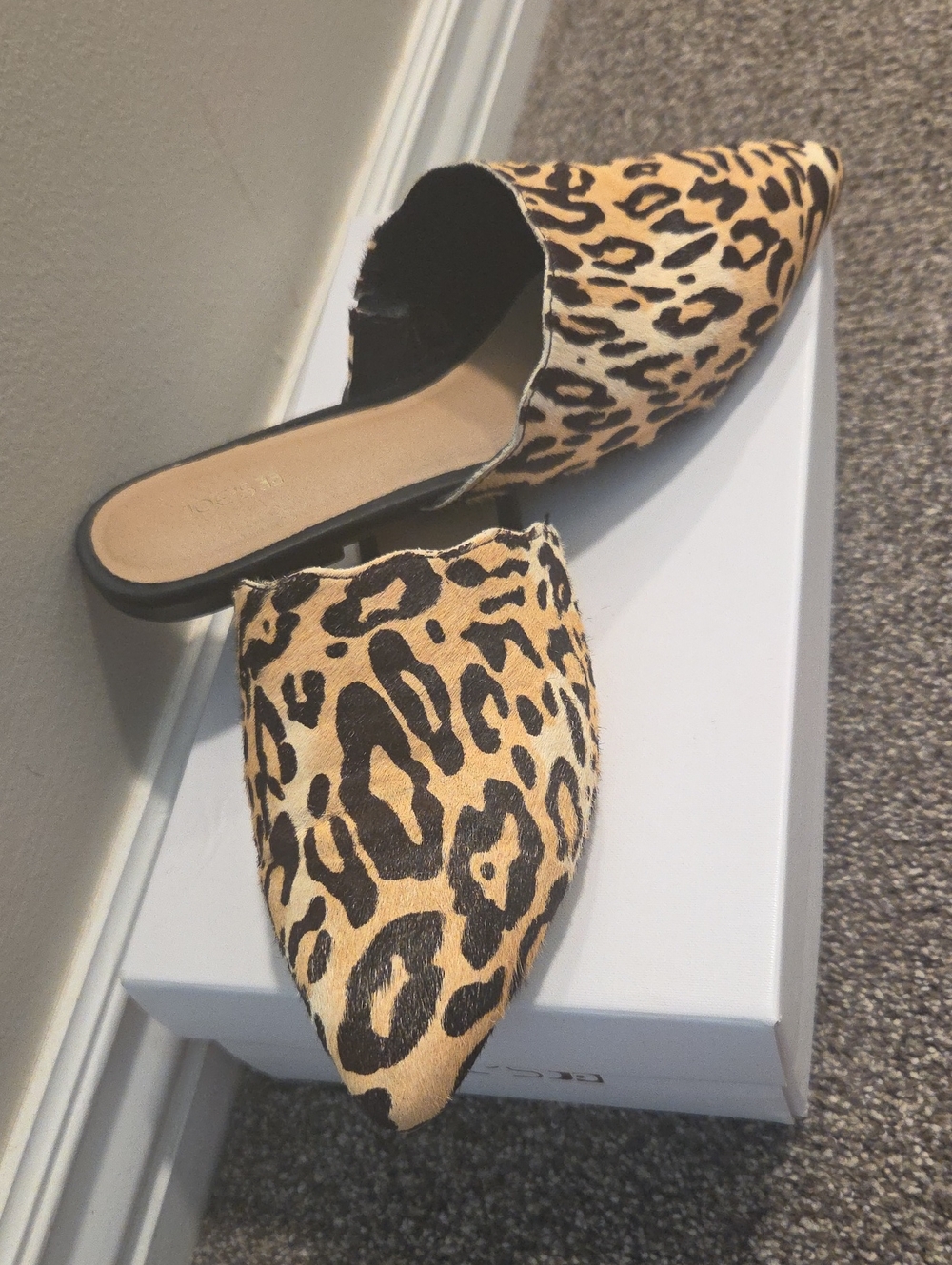 Leopard Print Pointed-Toe Mules - Tan/Black